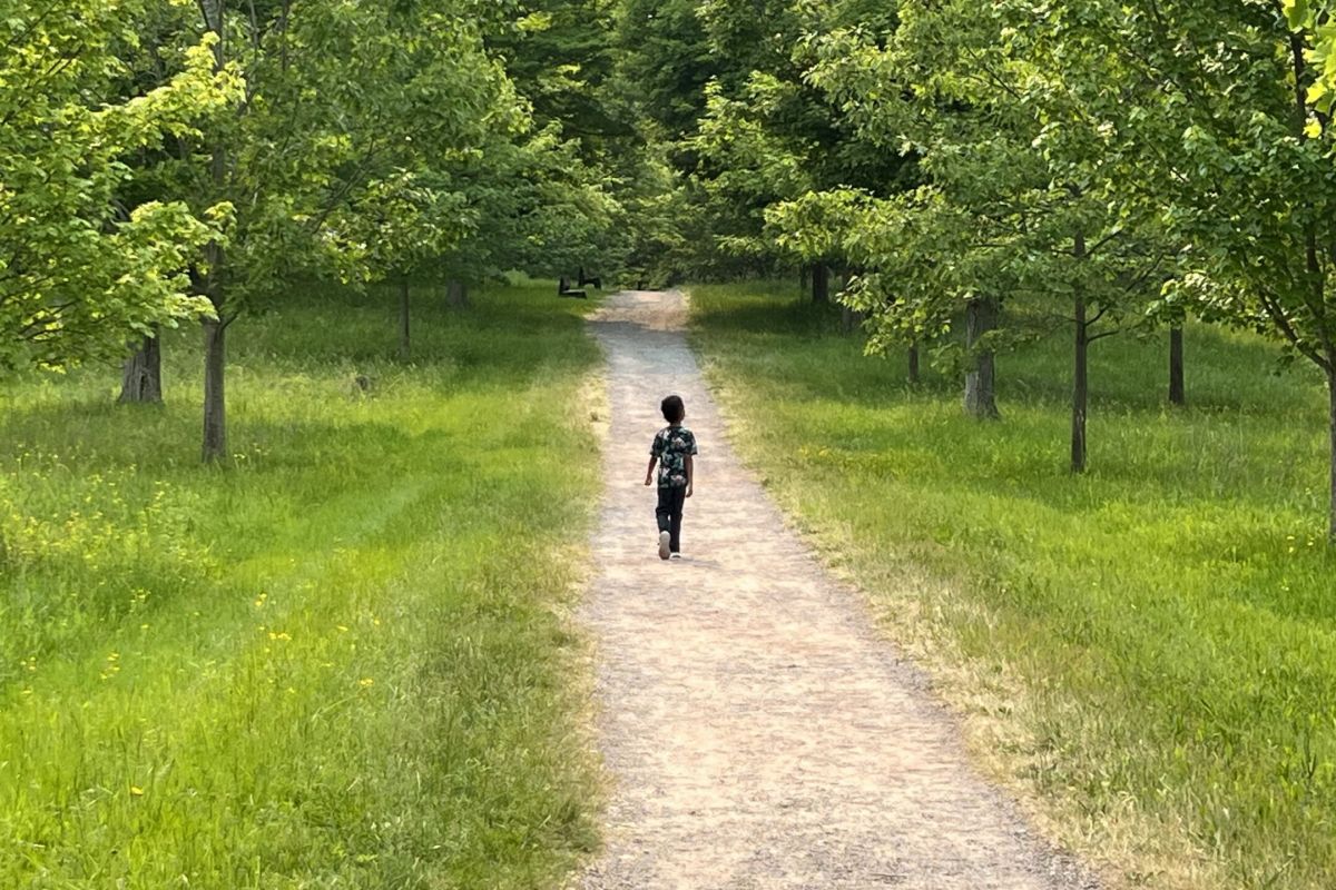 boy walking a dirt path