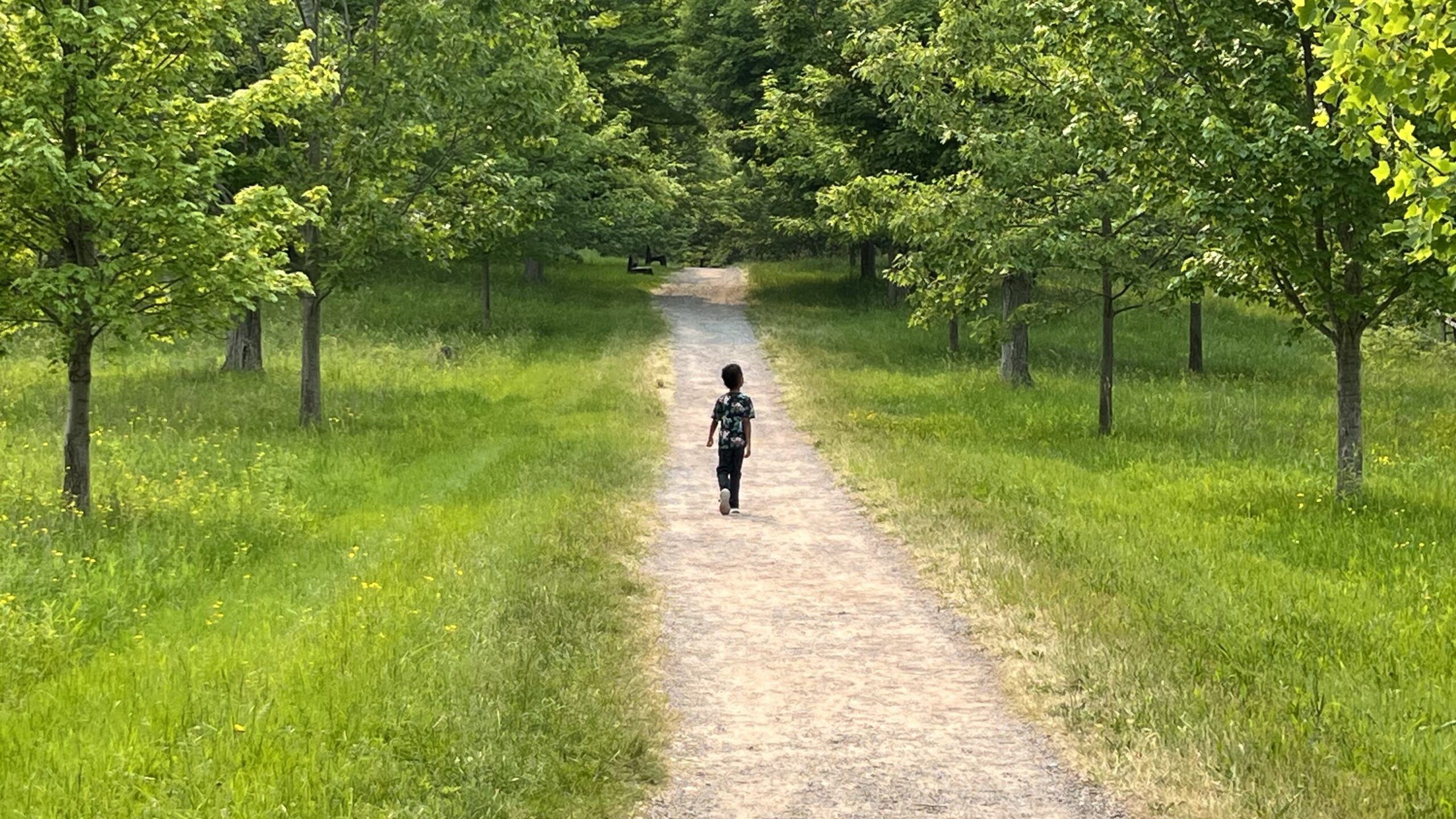 boy walking a dirt path